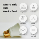 100W A19 Warm - Dimmable