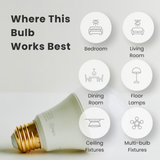 100W A19 Warm - Non-Dimmable