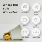 60W A19 Daylight - Dimmable