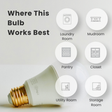 60W A19 Daylight - Non-Dimmable