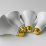 BR30 Daylight - Dimmable