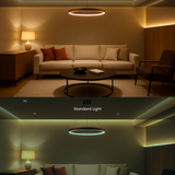 13W (100W Replacement) - A19 Dimmable LED Bulb 5000K