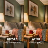 60W A19 Warm - Dimmable