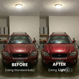 100W A19 Daylight - Non-Dimmable