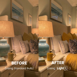 60W A19 Warm - Non-Dimmable